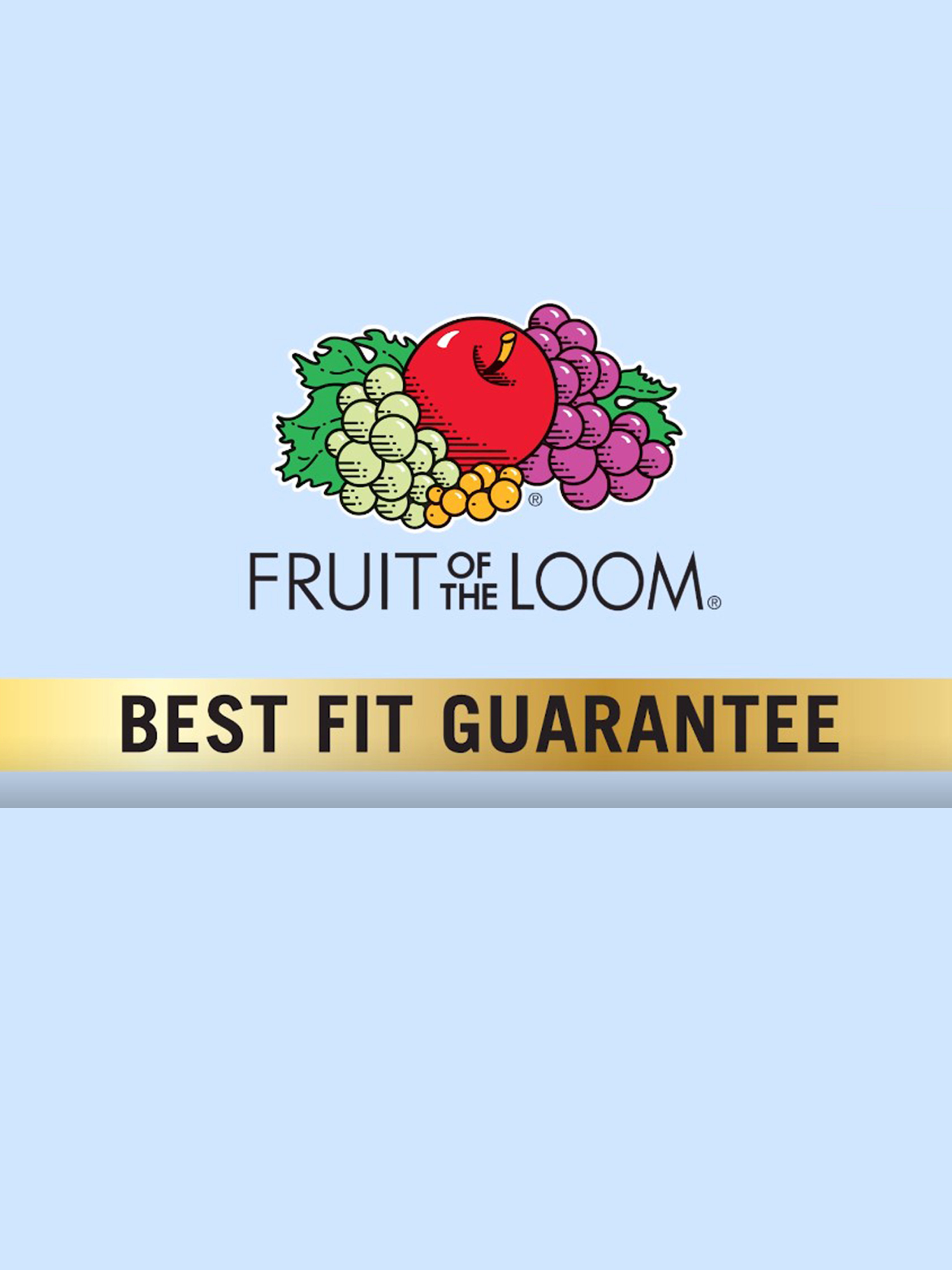 Fruit of the Loom Premium Breathable Lightweight Micro-Mesh Men's Boxer Briefs, 3 Pack - Assorted
